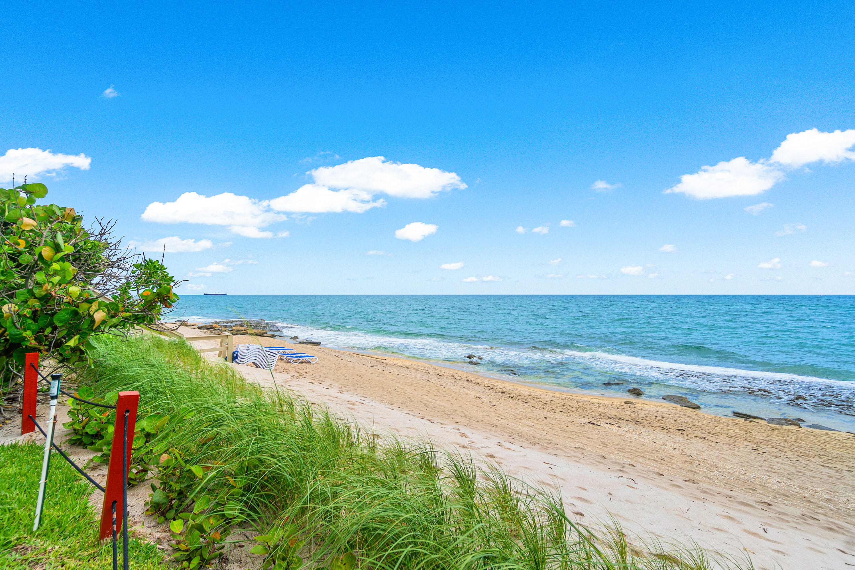 a view of an ocean and beach