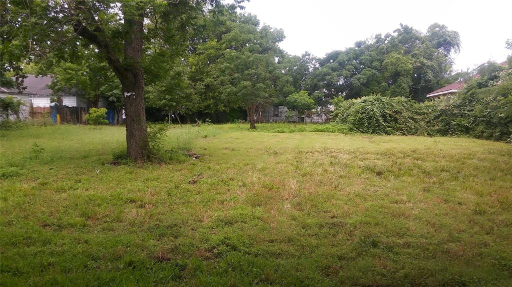 a view of a yard with trees