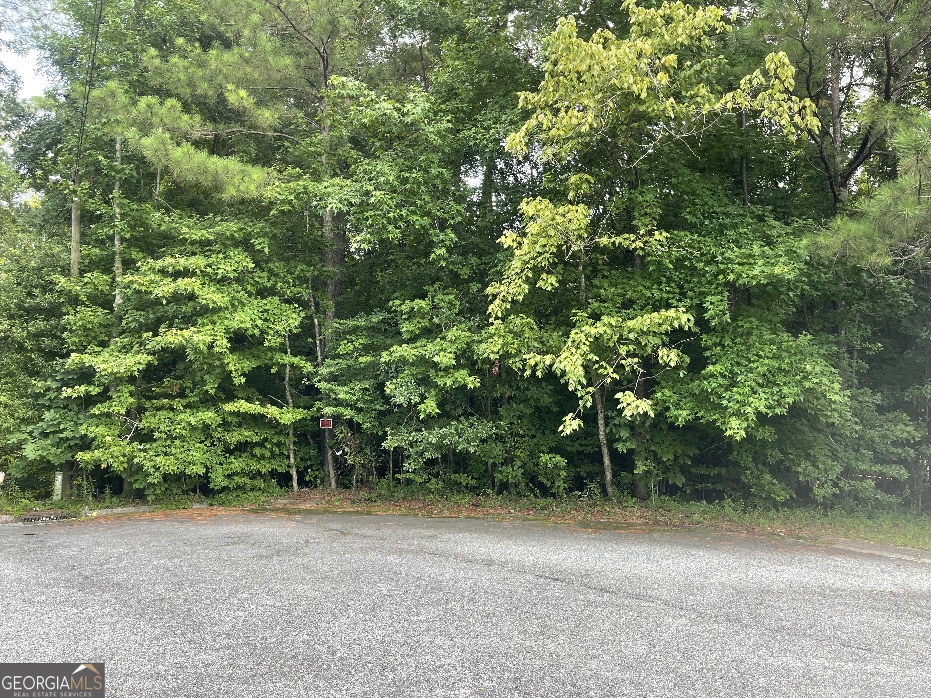 a view of a field with plants and trees