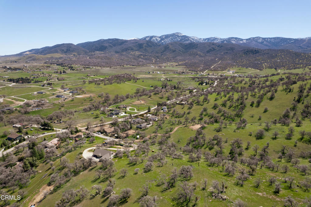 a view of a lush green hillside and houses