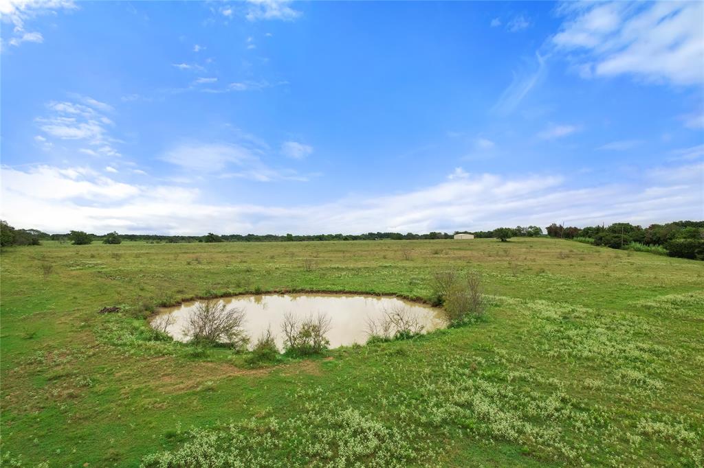 a view of a lake from a yard