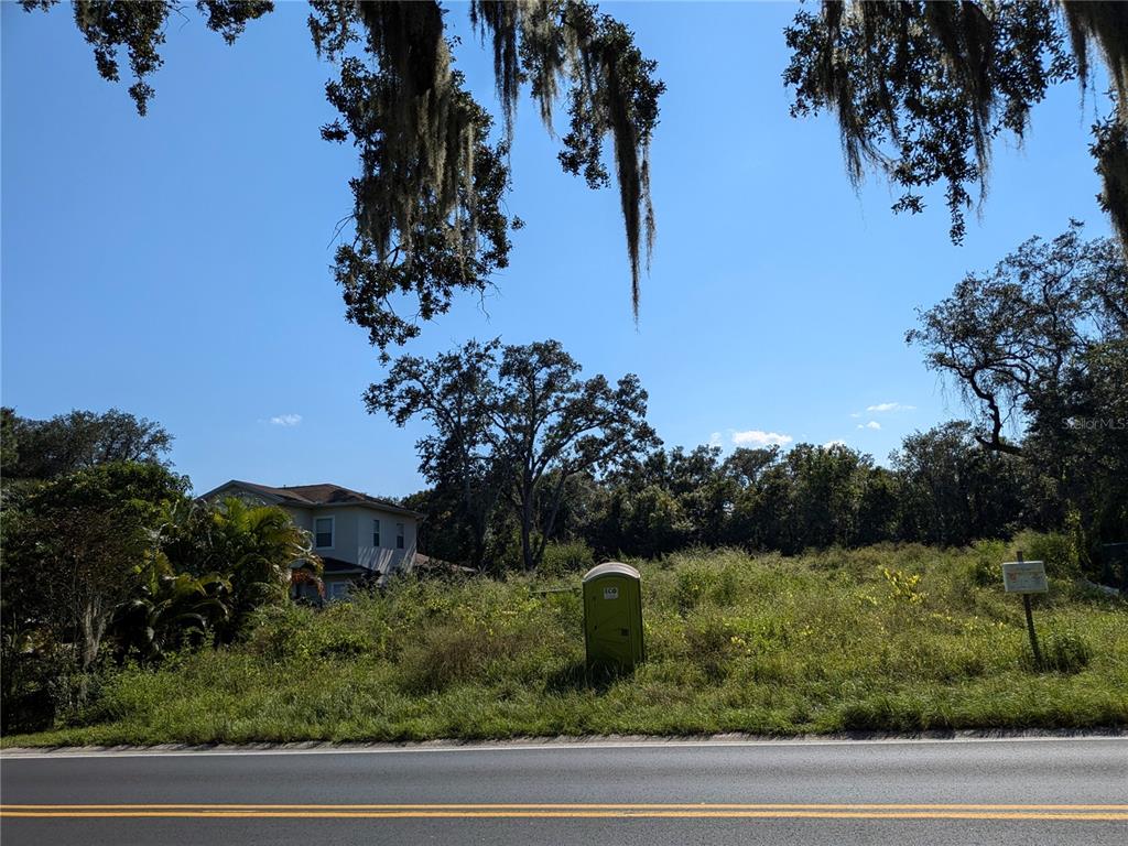 a view of a yard