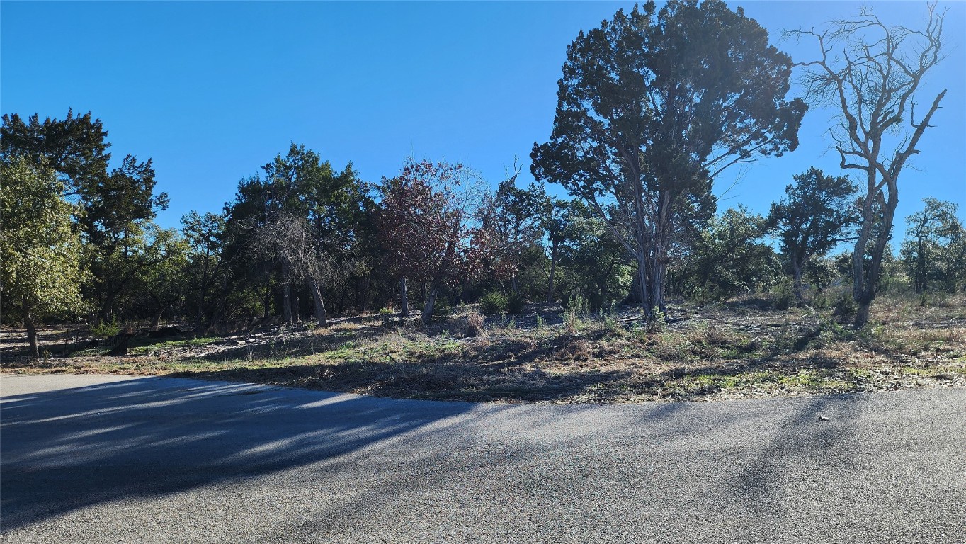 a view of a yard with mountain view