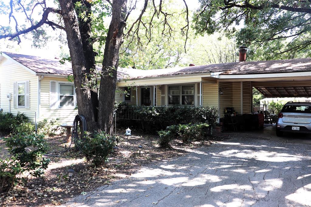 a view of house that has a tree in front of it