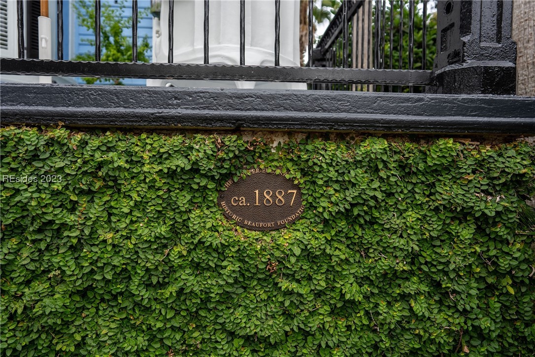 Origin of Wrigley Field ivy