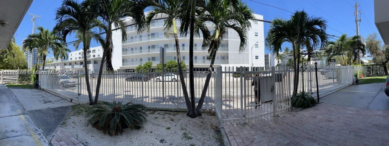 a view of a palm trees with a backyard