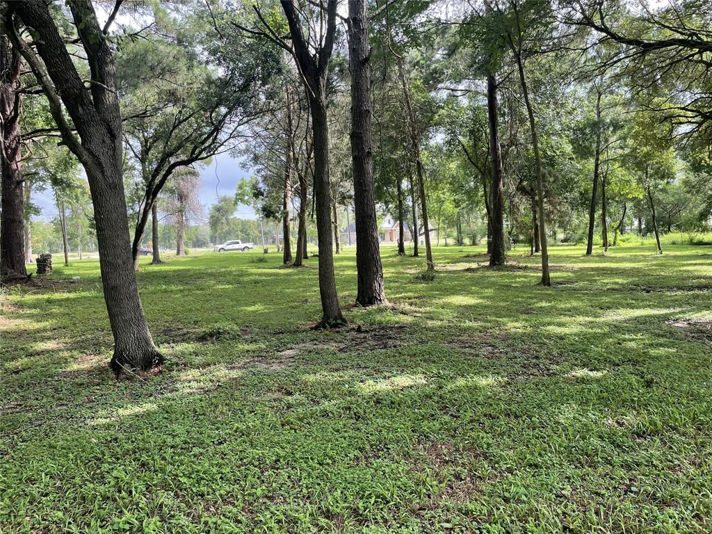 a big yard with lots of green space and trees