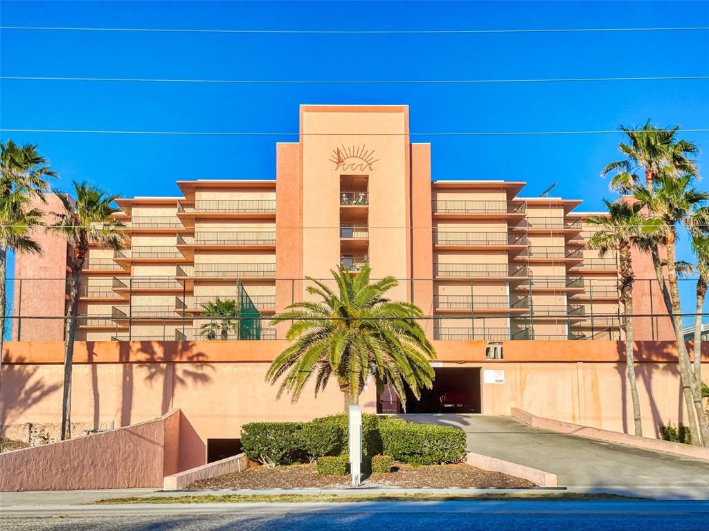 a palm tree sitting on a sidewalk next to a building