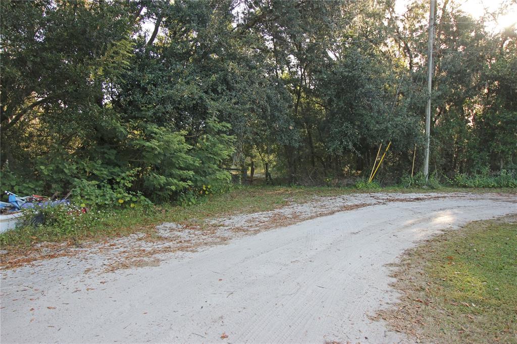 a view of a dirt road with trees in the background