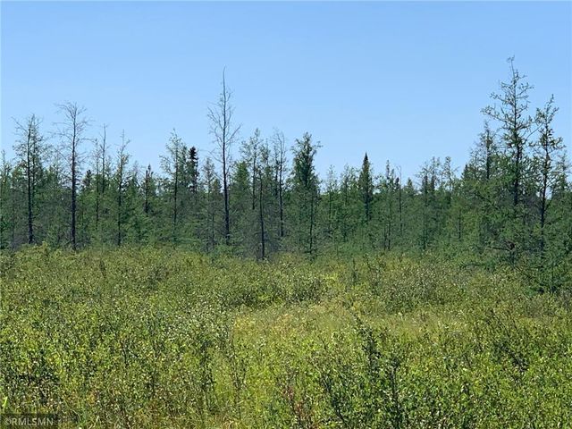 $175,000 | 169 Palisade Mn 56469 | Waukenabo Township - Aitkin County