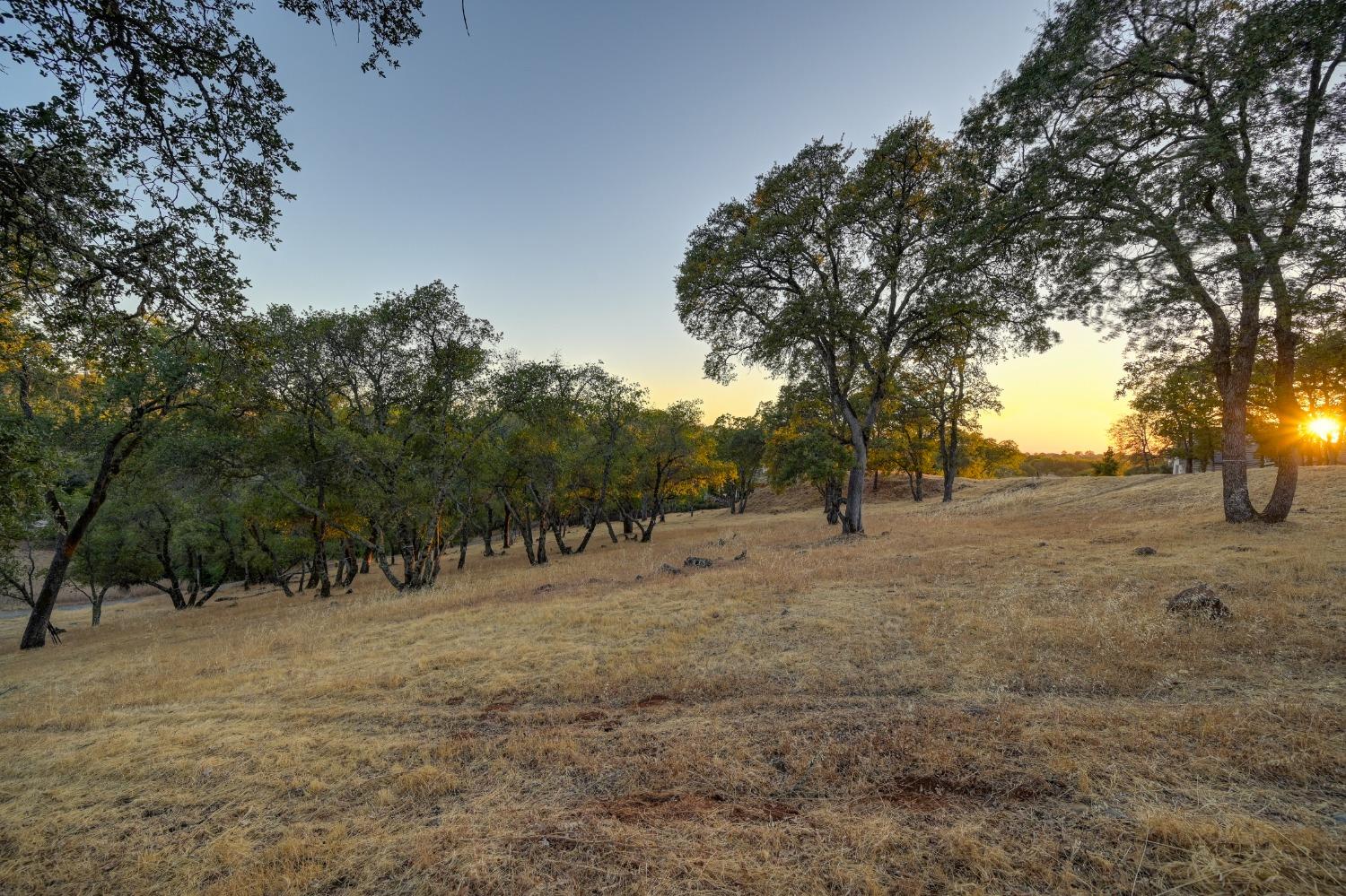 a view of outdoor space with trees