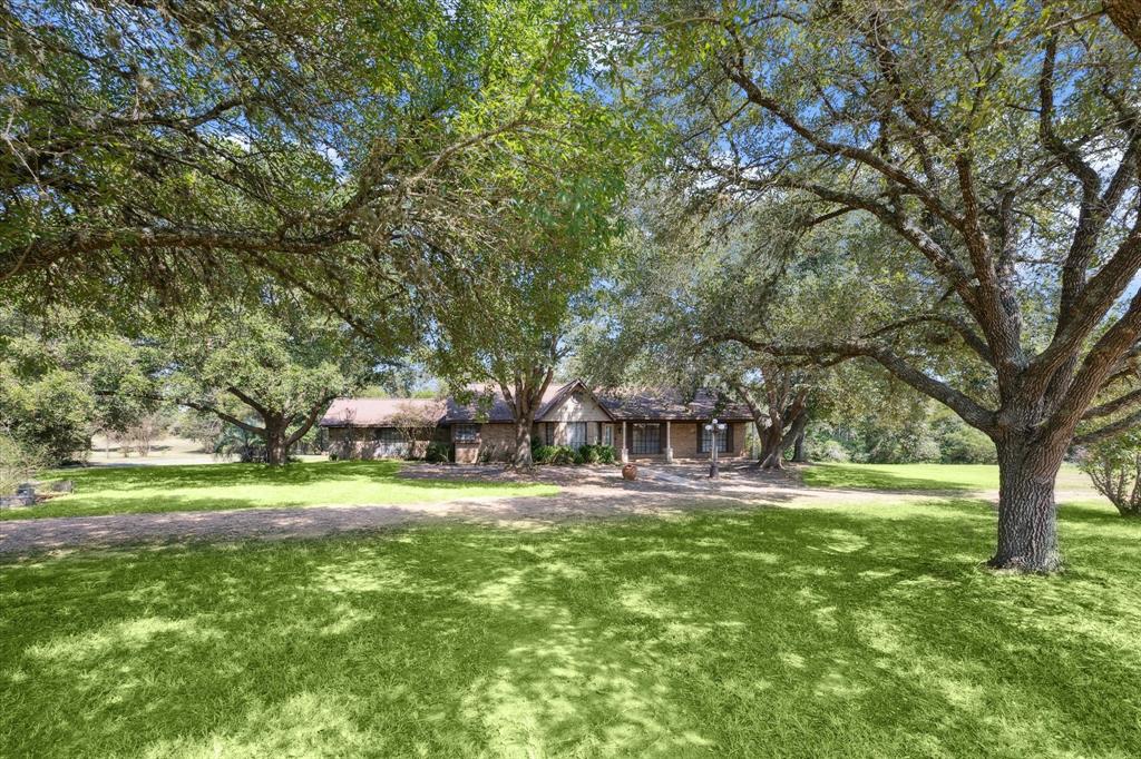 a view of a park with large trees