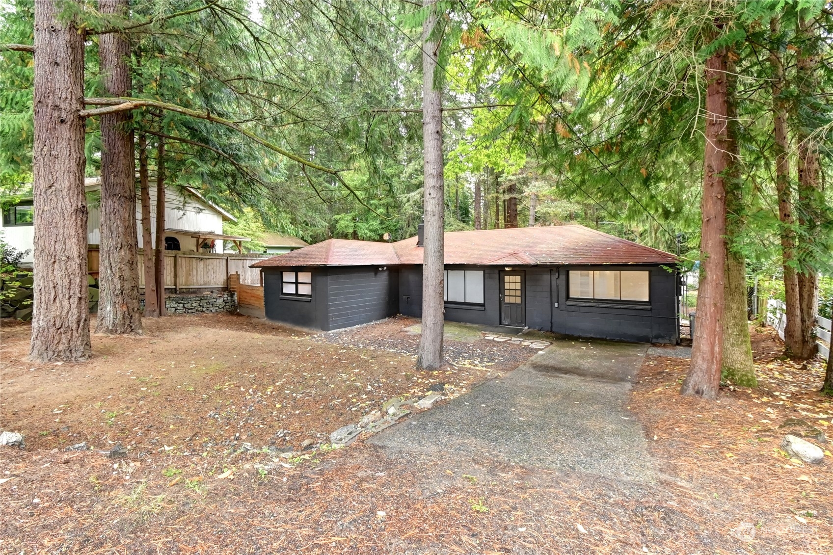 a house that has tree in front of it