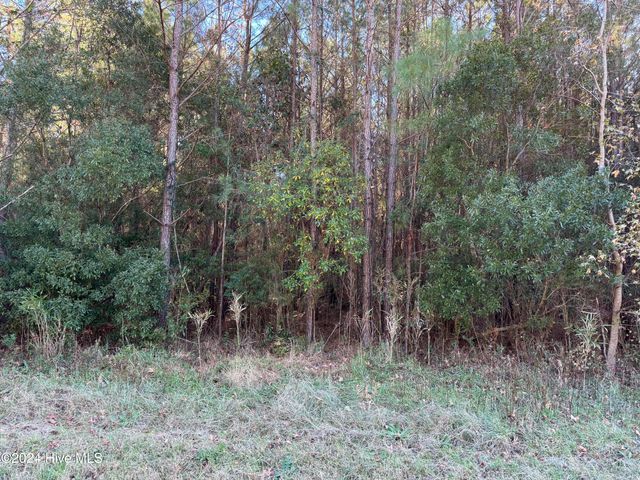 $32,000 | 0 Tetterton Road | Richland Township - Beaufort County