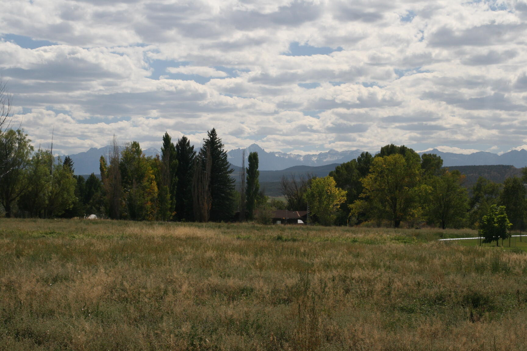 a view of outdoor space with trees all around