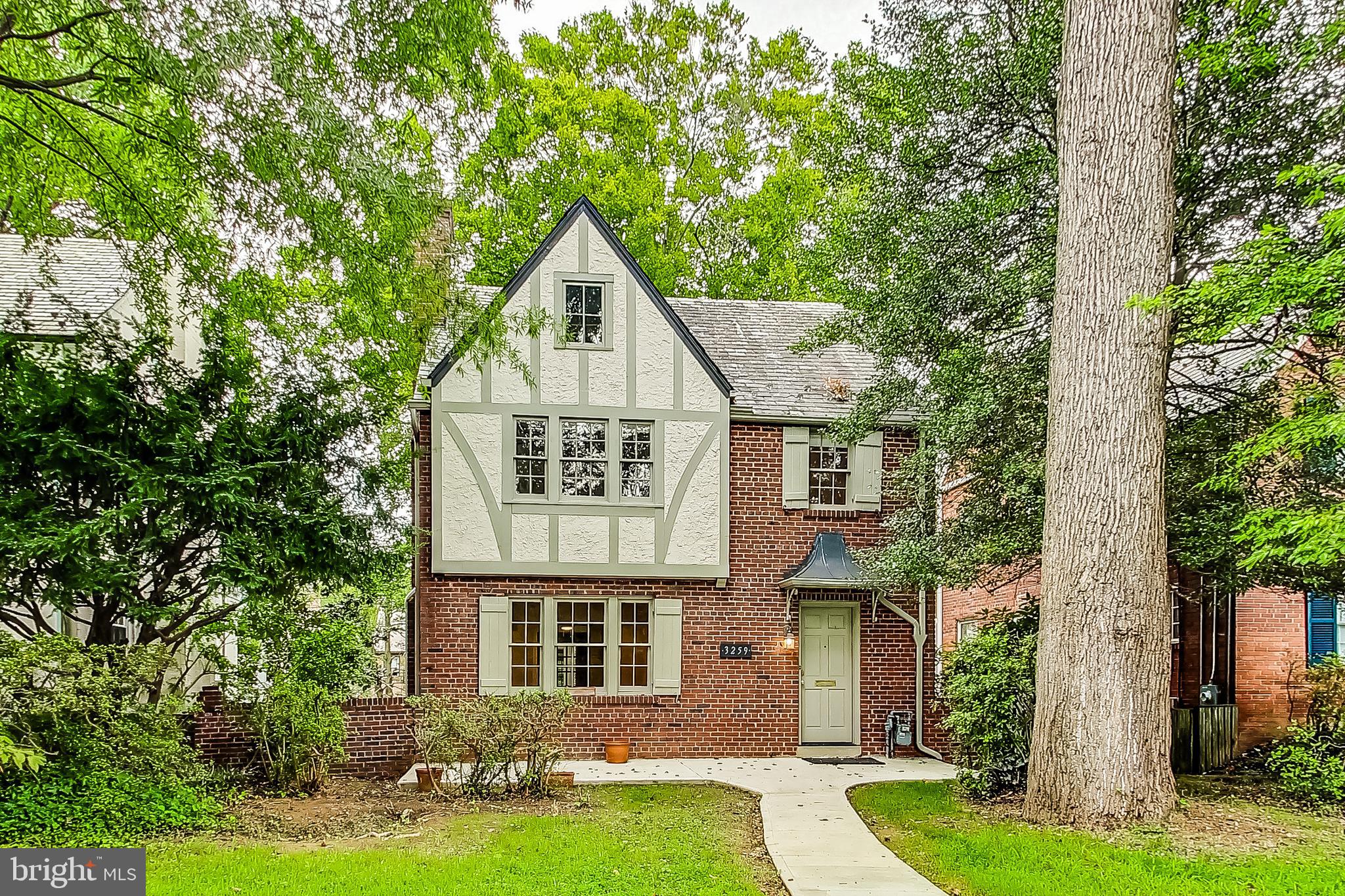 a view of a yard in front of house