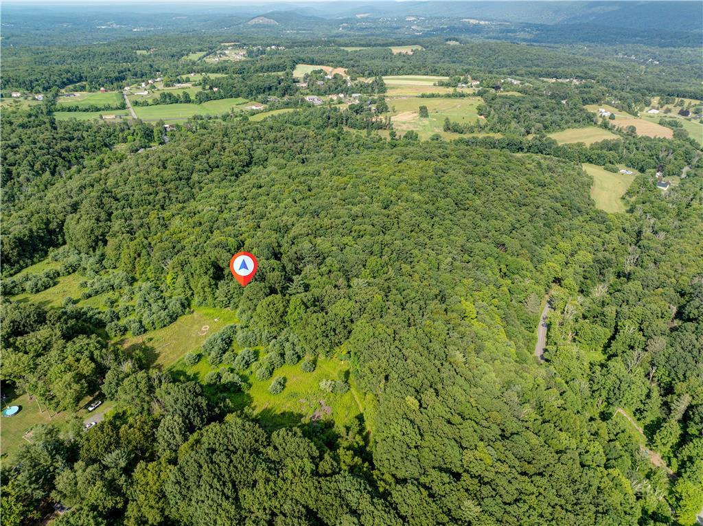 a view of a green field with lots of bushes