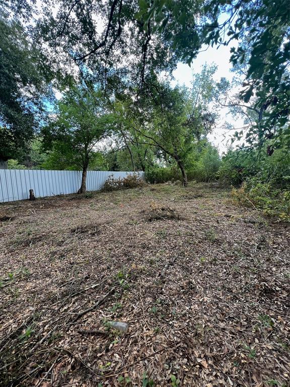 a view of a yard with a tree