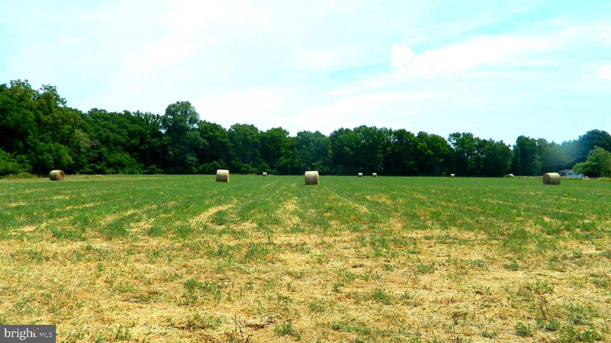 a view of field with trees in the background