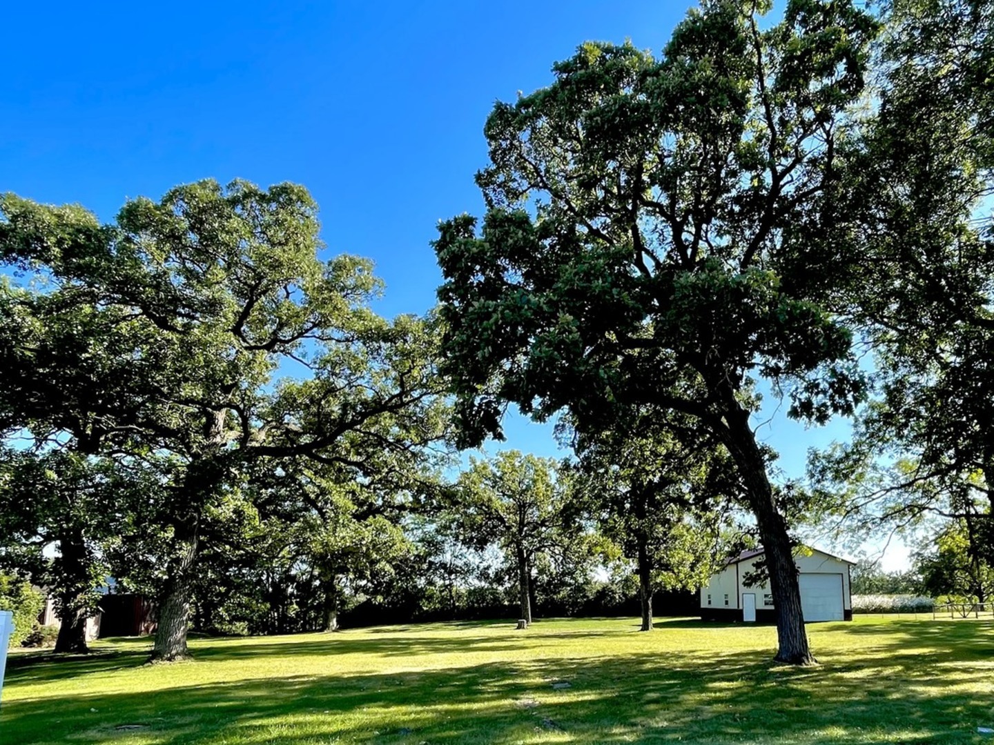 a view of a big yard with large trees