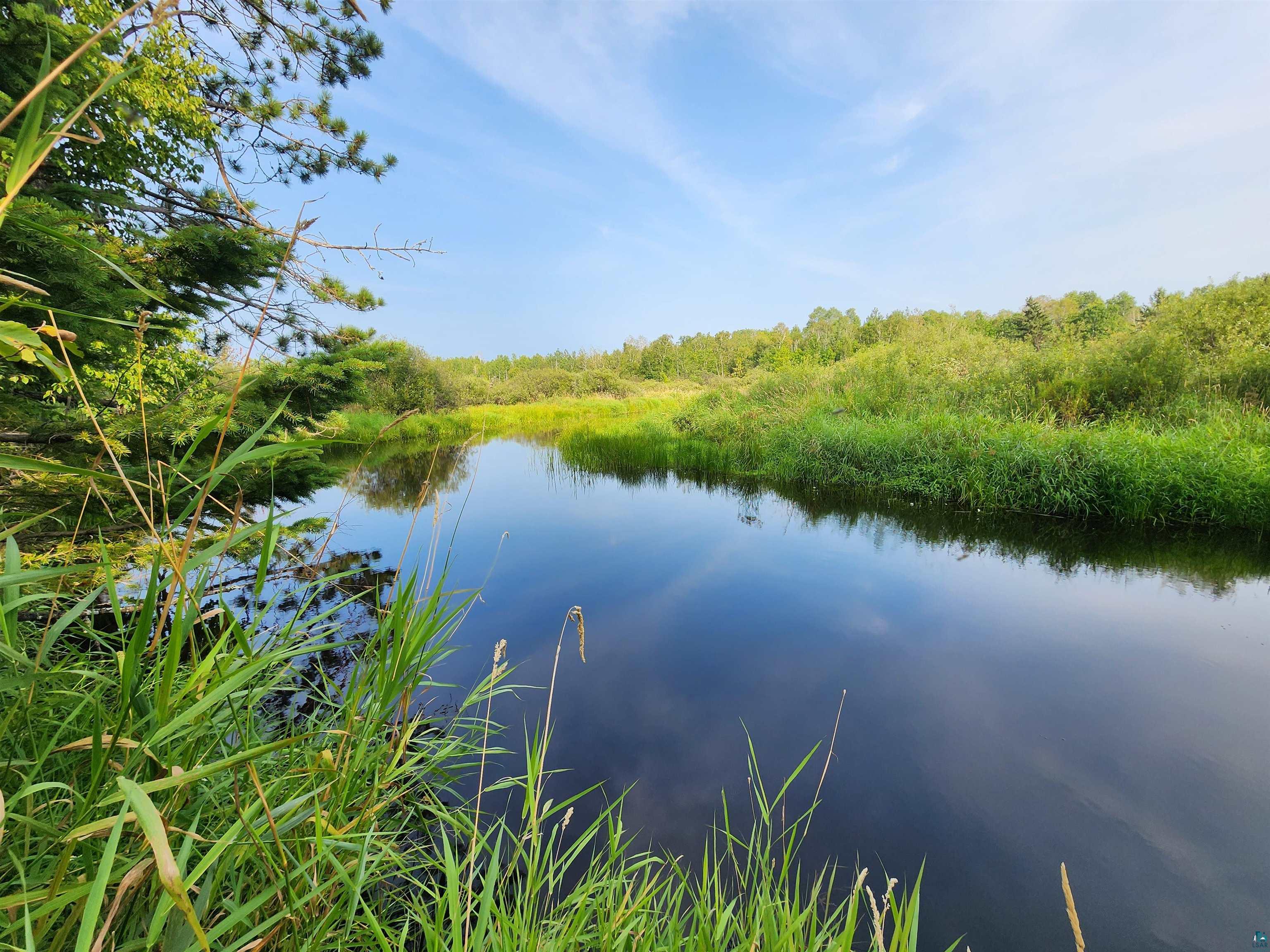 View of river