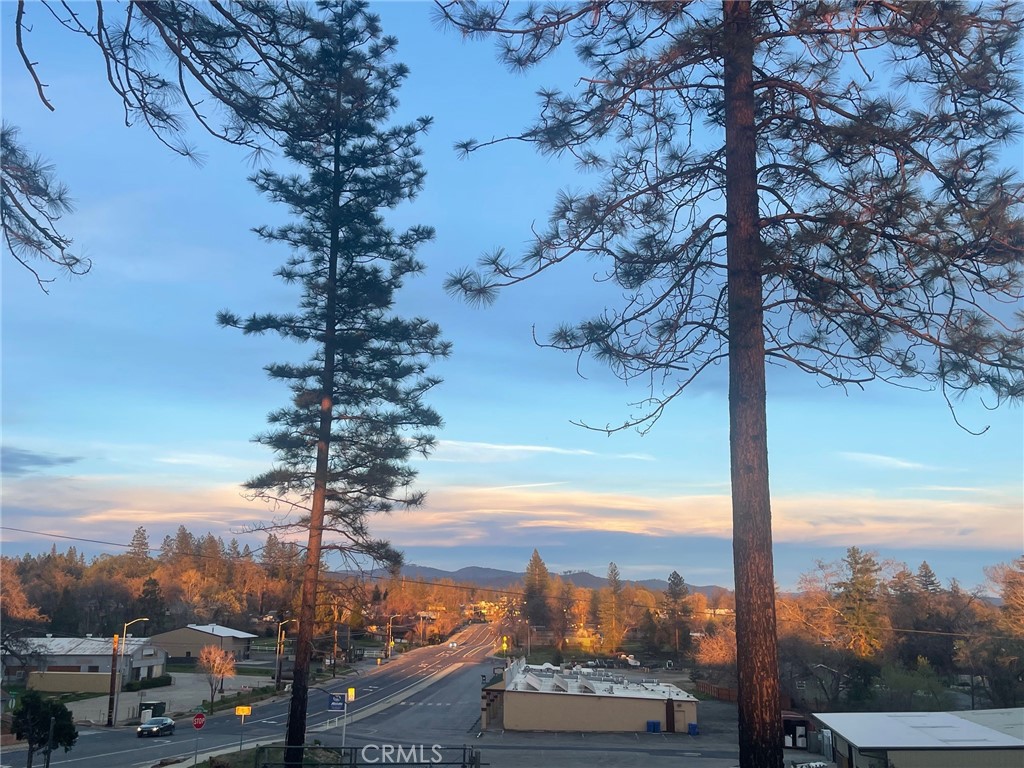 a view of a city with tall trees