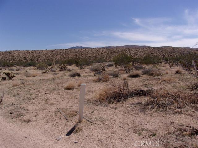 a view of a dry space with mountain view