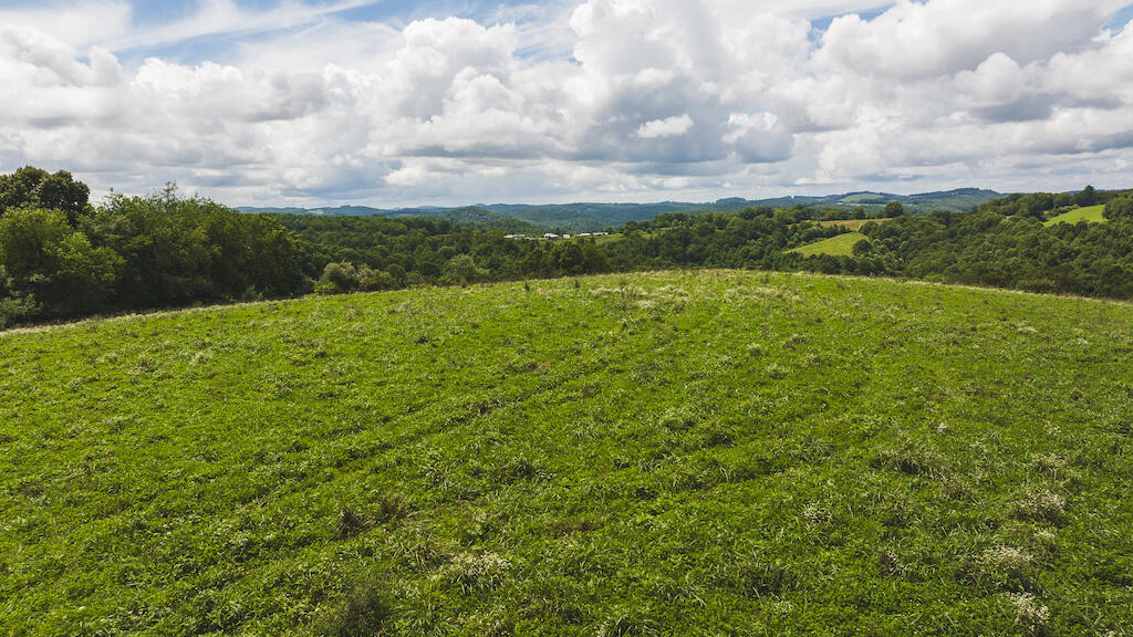 a view of a big yard with lots of green space