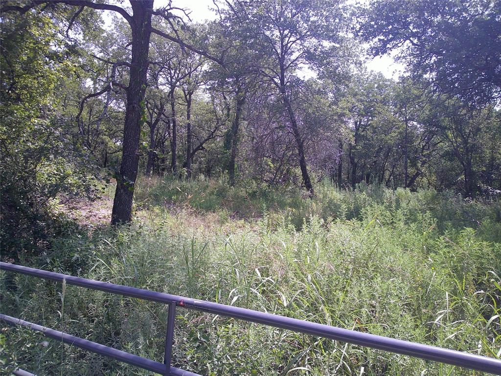 a view of a forest from a balcony