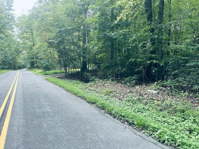 a view of a yard with plants and a trees