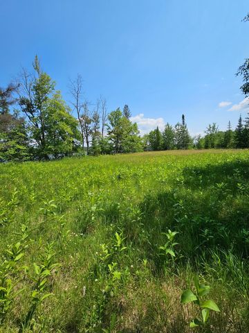 $179,000 | Lot6 Lot6 Hooper Creek Loop | Baudette Township - Lake of the Woods County