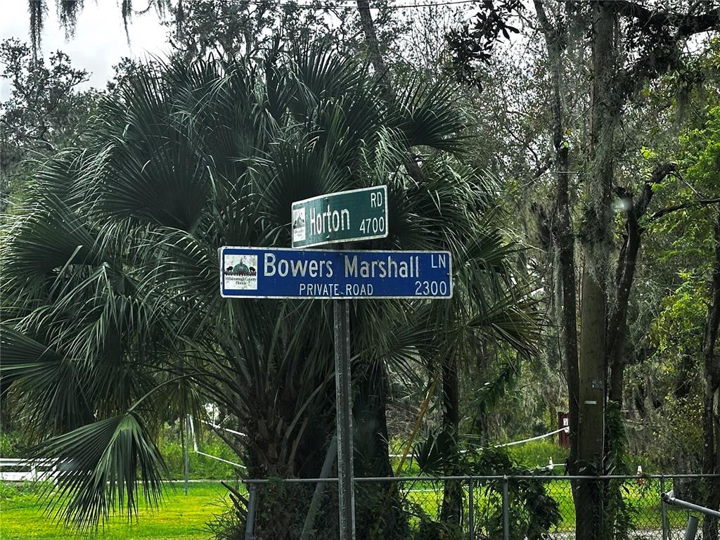 a view of a sign under a tree