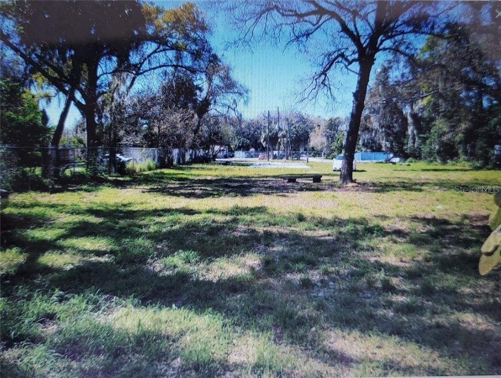 a view of a yard with plants and trees