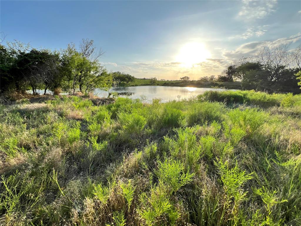 a view of lake with green space