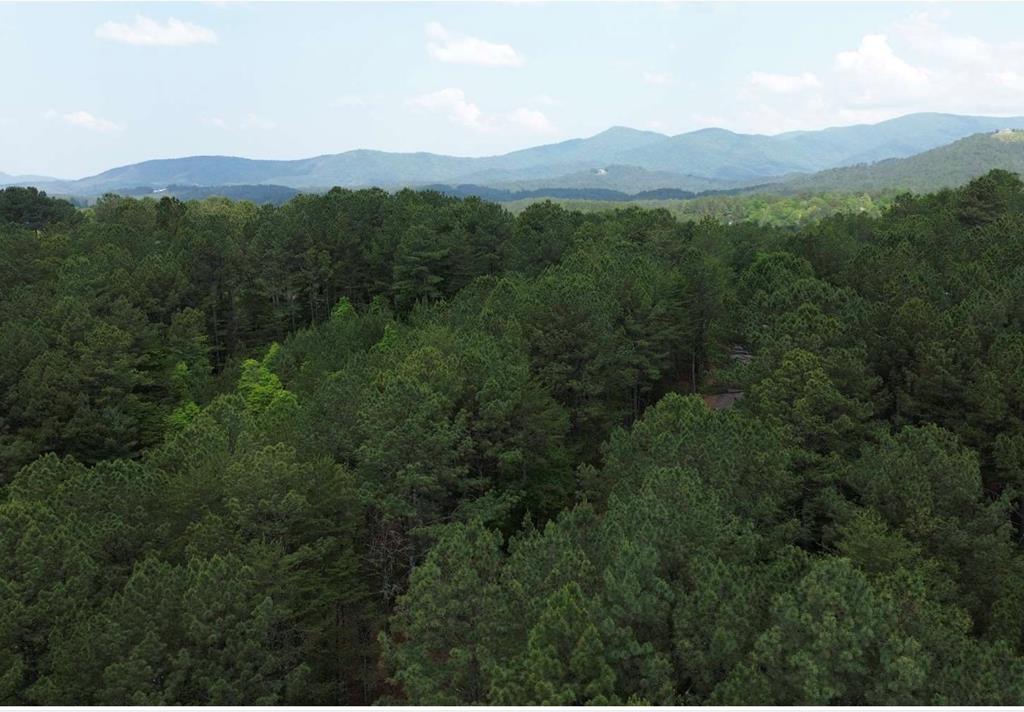 a view of a mountain range with lush green forest