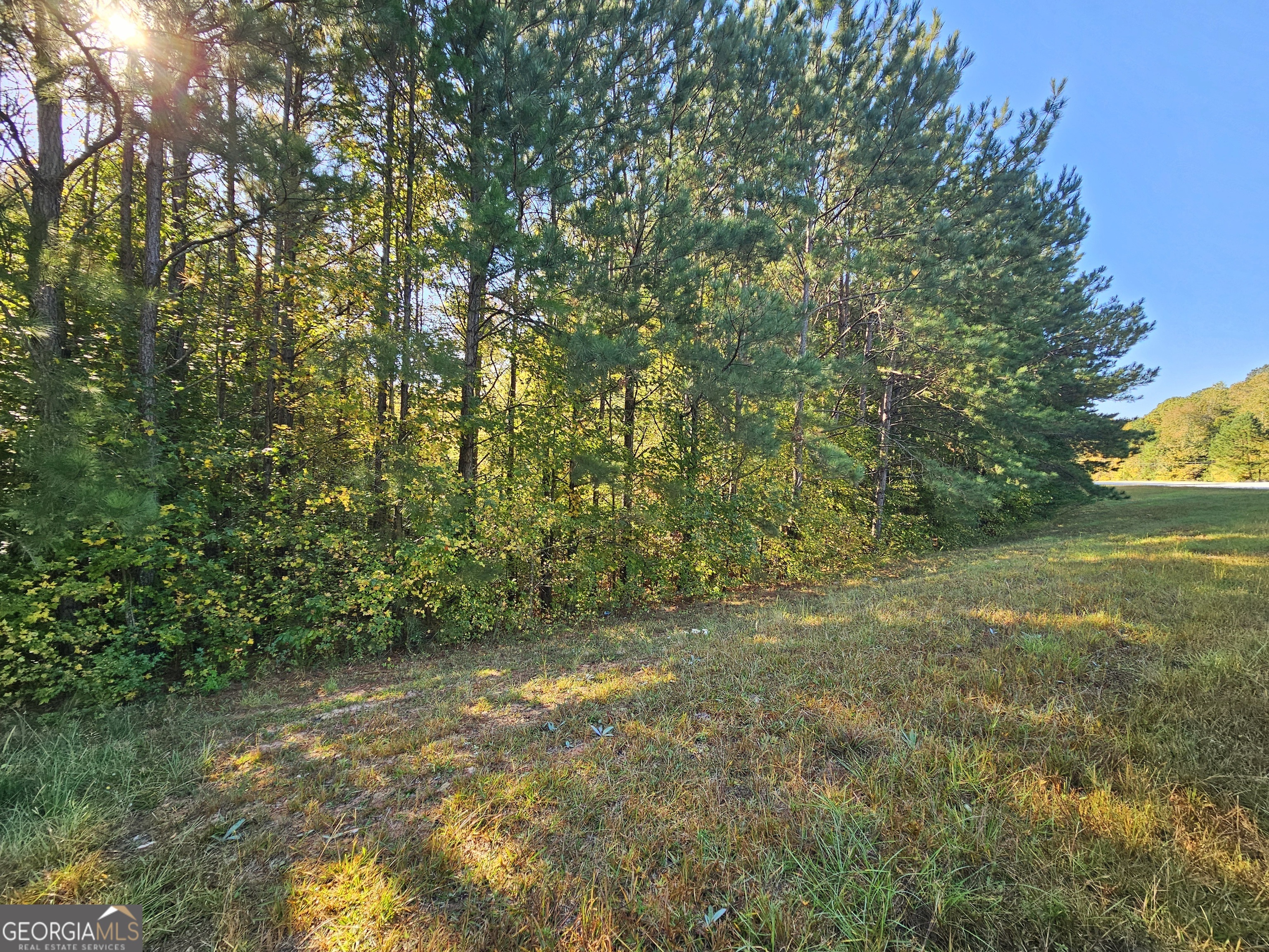 a view of a yard with a tree