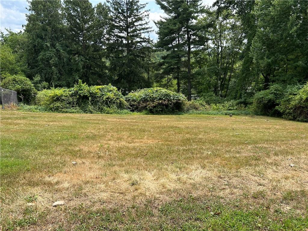 a view of a field with trees in the background