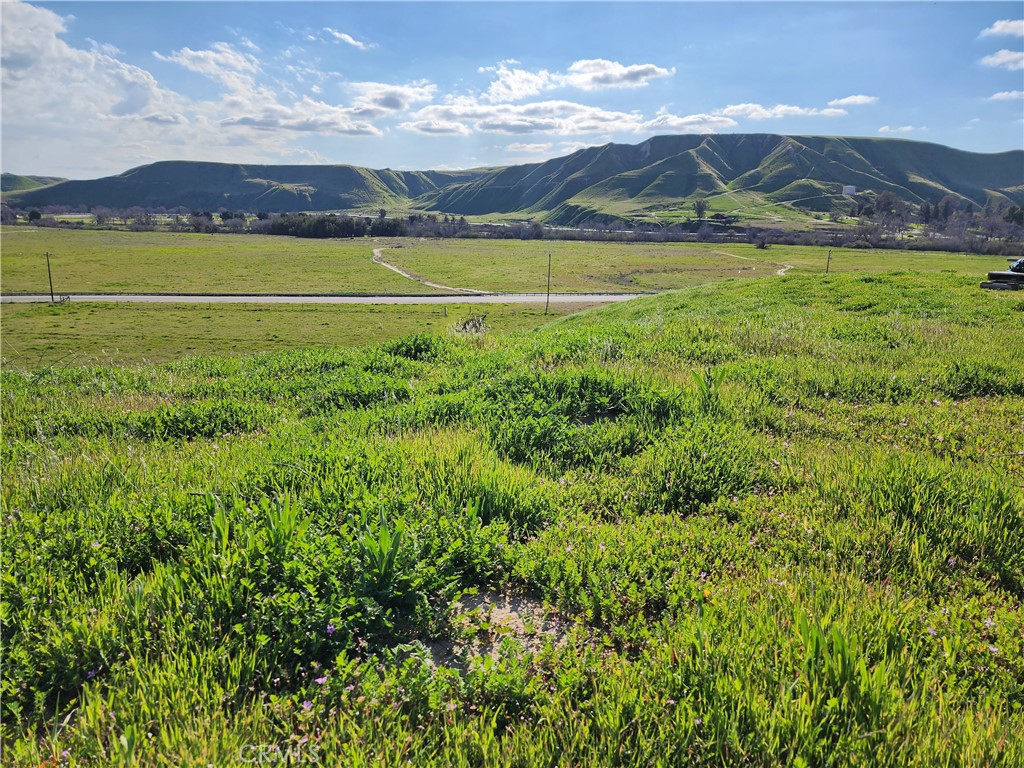 a view of a lush green hillside and an ocean view