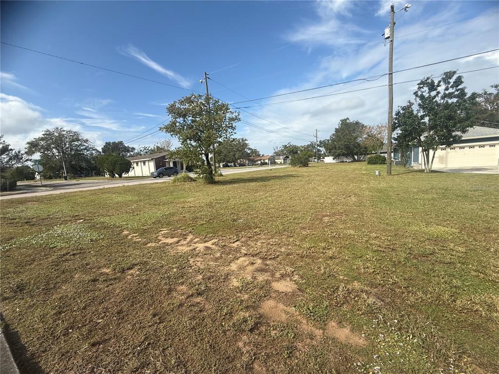 a view of a big yard with a large trees