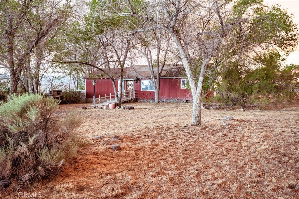 a tree is standing in the yard