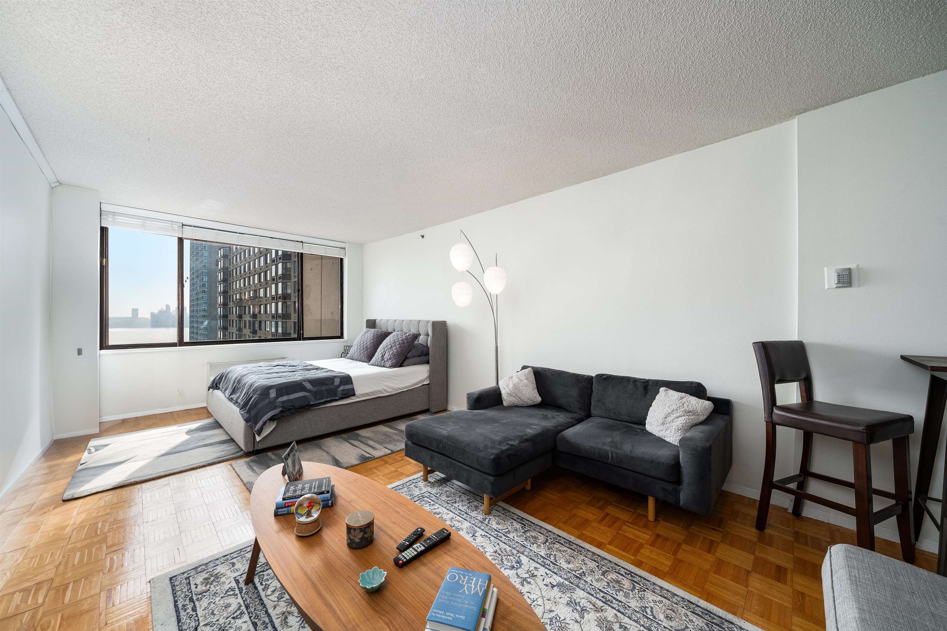 a living room with furniture and a rug