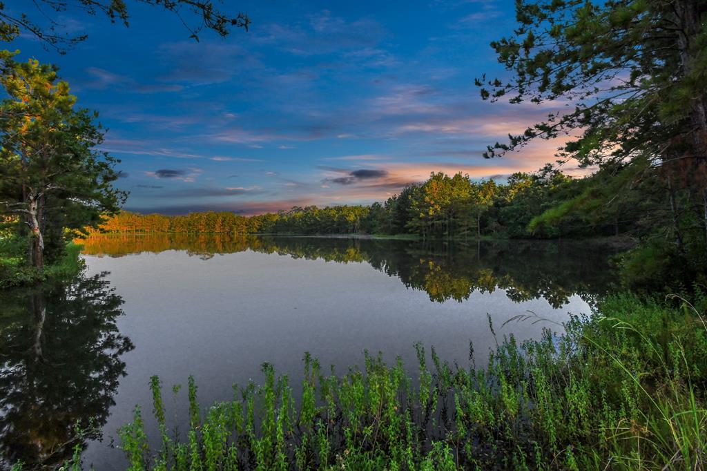 a view of a lake in between two large trees