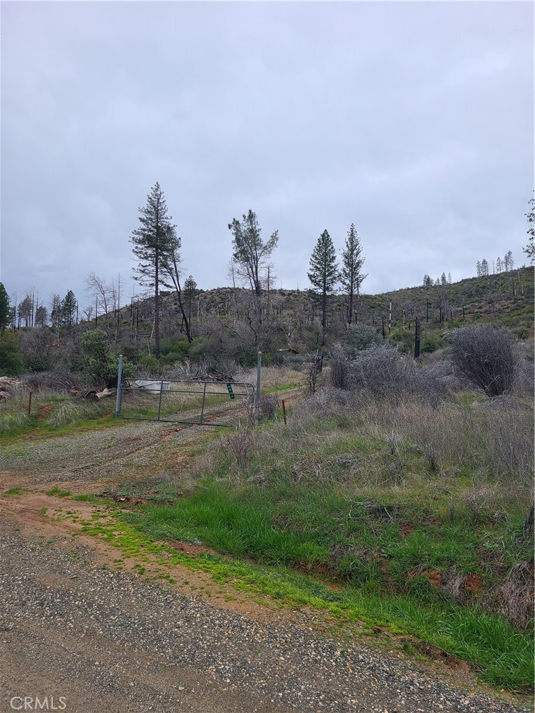 a view of a park