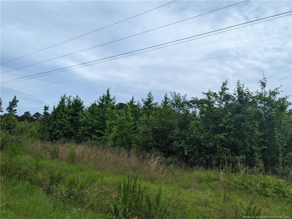 a view of a lake from a yard