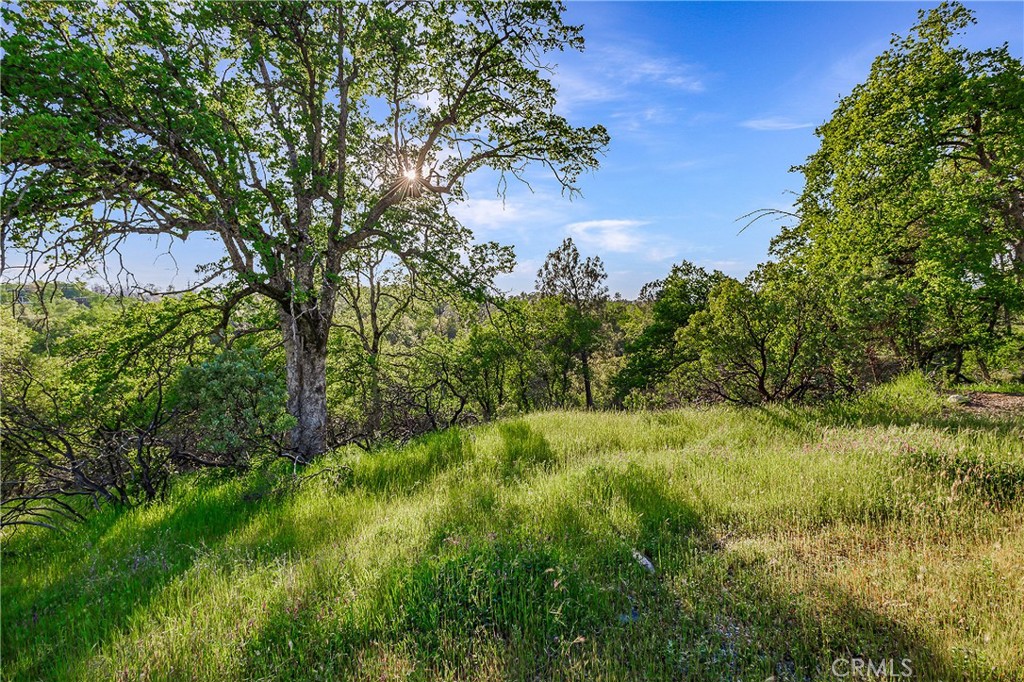 a view of a lush green space and lake view