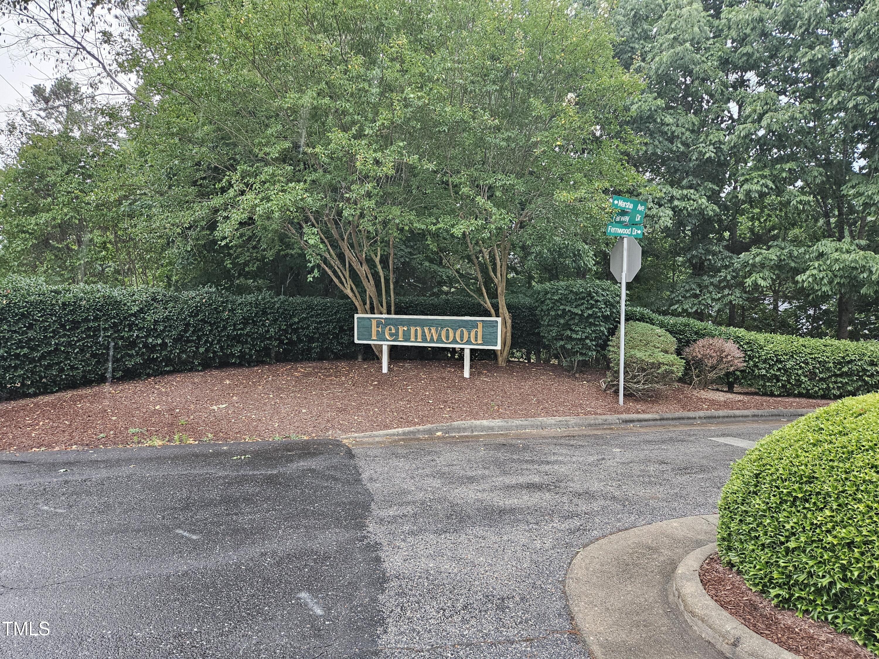 a view of backyard with green space