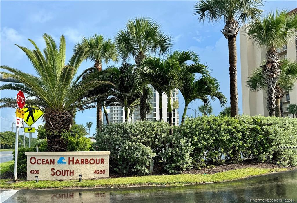 a view of sign board and palm trees