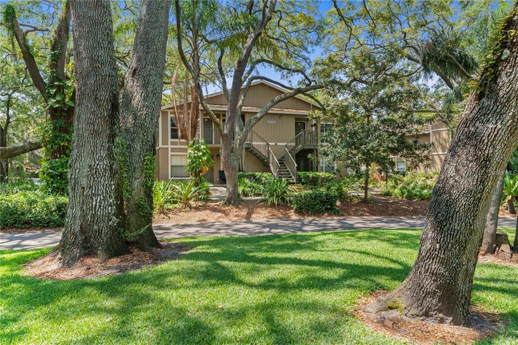 a view of a yard in front of house