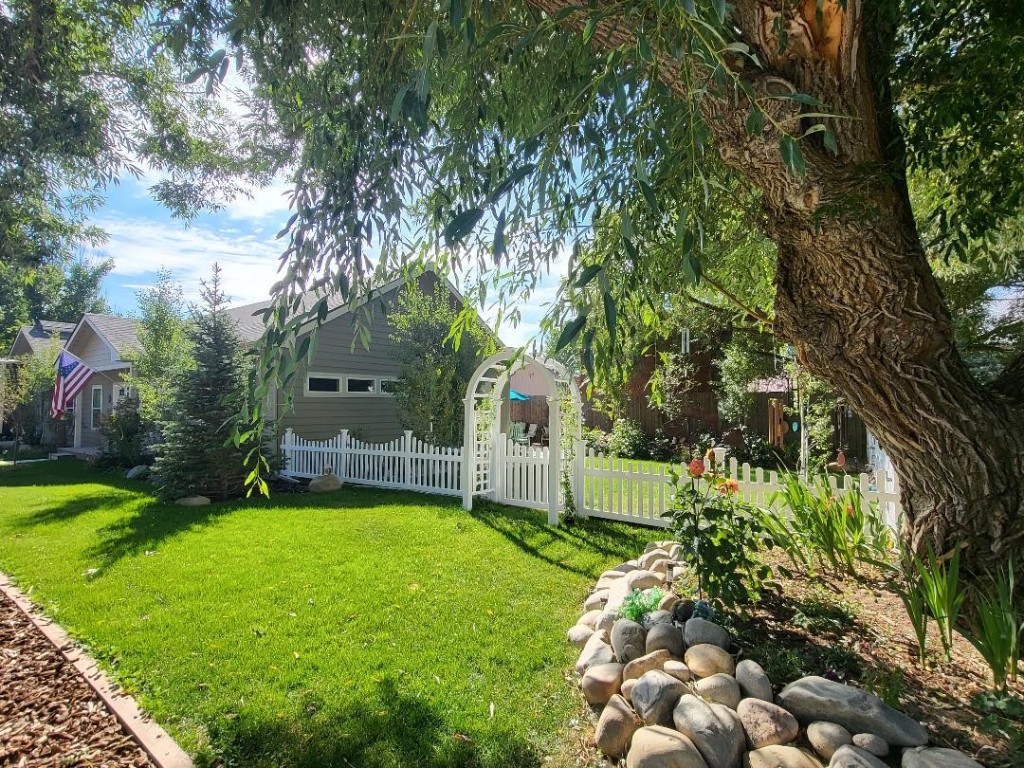 a view of a garden with a large tree