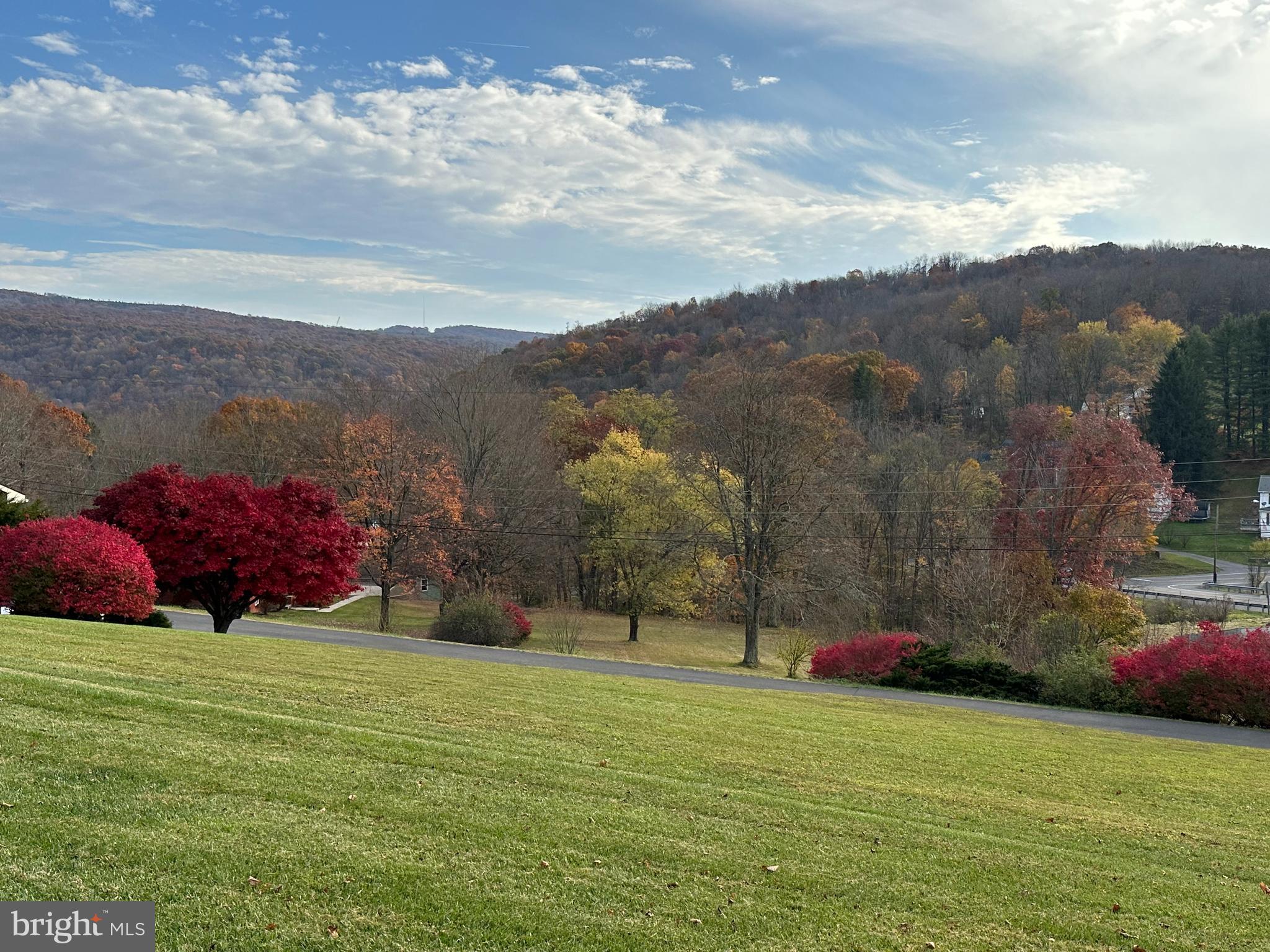 a view of a field with a mountain